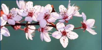 Transformative Moments