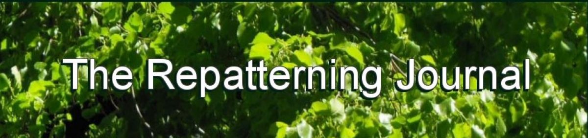 Repatterning Journal